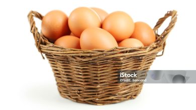 Ποτέ όλα τ' αυγά στο ίδιο καλάθι ΑΥΓΑ