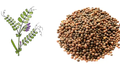 Ήρθε η Ώρα – Ο Σπόρος Έπιασε Ρίζες για να Ανθίσει η Διαμεσολάβηση b97a69cb9c4cd1004c1a6a3ce01c90eb vikos new